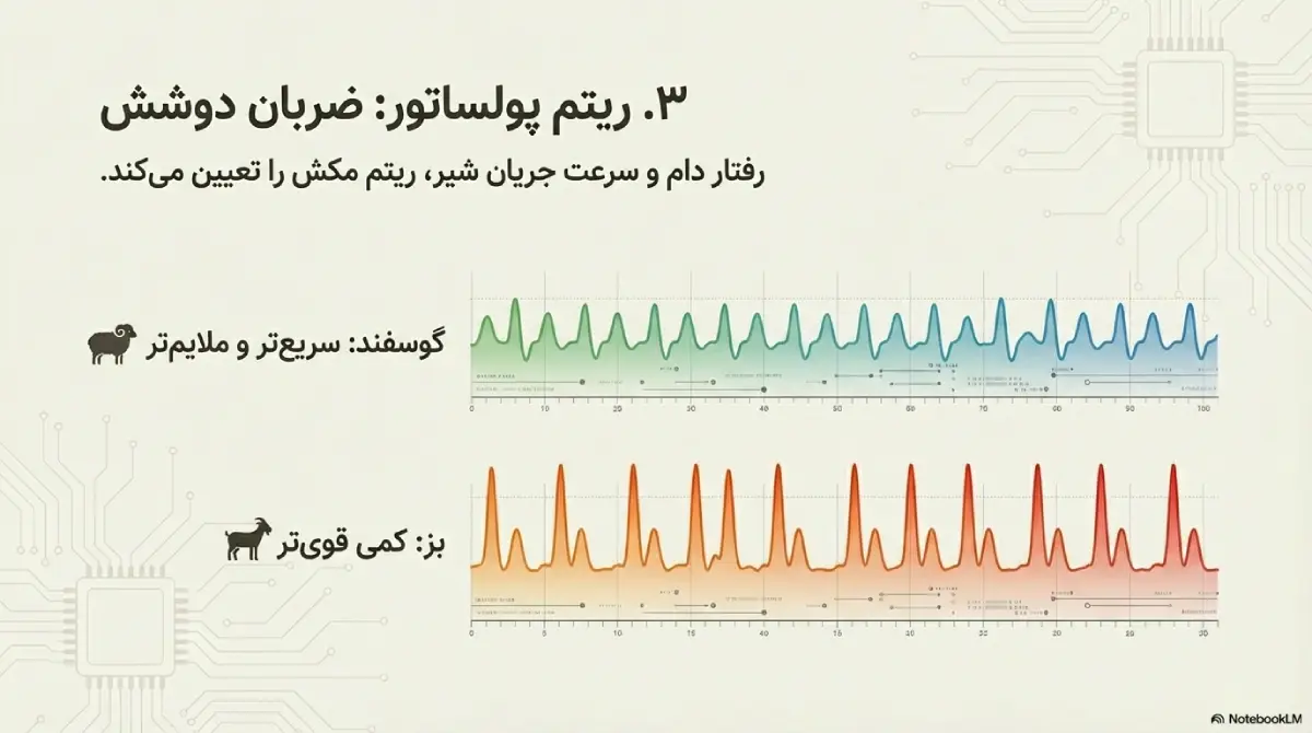 تفاوت ریتم پولساتور در دستگاه های شیردوشی گوسفند و بز