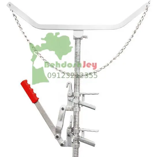 جک زایمان پاکستانی